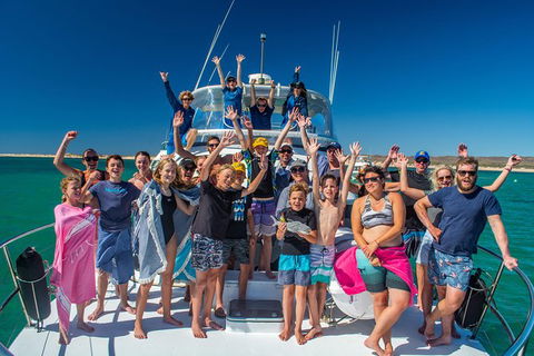 Full-Day Whale Sharks Swimming Experience On Ningaloo Reef - Accommodation Australia 15