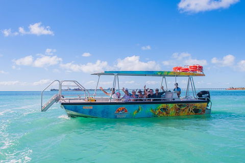 The Island Sandbar Experience - Accommodation Australia 5