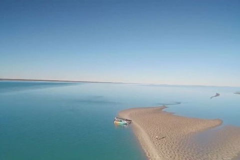 The Island Sandbar Experience - Accommodation Australia 6