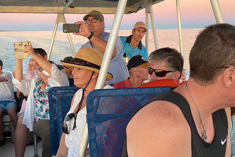The Island Sandbar Experience - Accommodation Australia 3