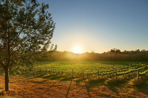 Private Barrel Hall Wine Tasting In The Margaret River Region - Bed n Breakfasts 3