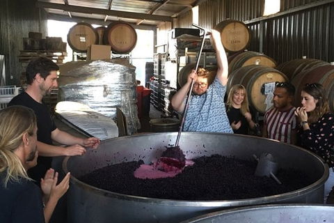 Margaret River Beer & Wine Adventure (departs Margaret River) - Accommodation Australia 10
