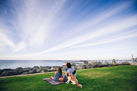 Full-Day Gourmet Wine Tour With Pick Up And Lunch - Accommodation Australia 4