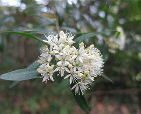 Brundee NSW Local Tourism