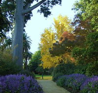 Albury Botanic Garden - Local Tourism