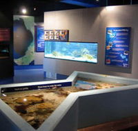 Marine and Freshwater Discovery Centre - Local Tourism