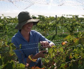 Kingsdale Wines - Bed n Breakfasts 0