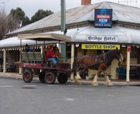 Bathurst Farm Experience - Accommodation Australia 0