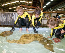 Dandenong South VIC Local Tourism