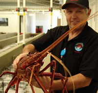 Lobster Shack - Local Tourism