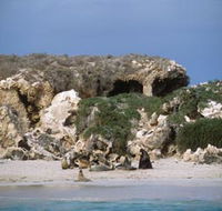 Jurien Bay Marine Park - Local Tourism