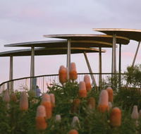 Reabold Hill Summit Boardwalk Bold Park - Accommodation Australia