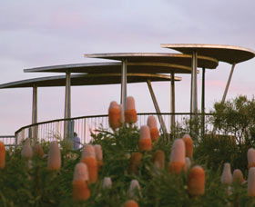 Reabold Hill Summit Boardwalk, Bold Park - Accommodation Australia 0