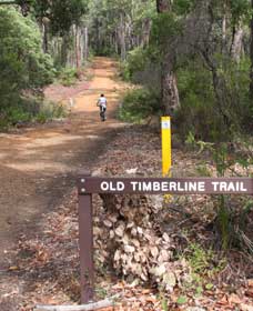 Yoganup WA Local Tourism
