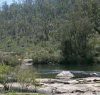 Wellington Discovery Forest - Accommodation Australia