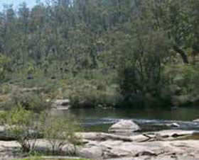 Wellington Discovery Forest - Accommodation Australia 0