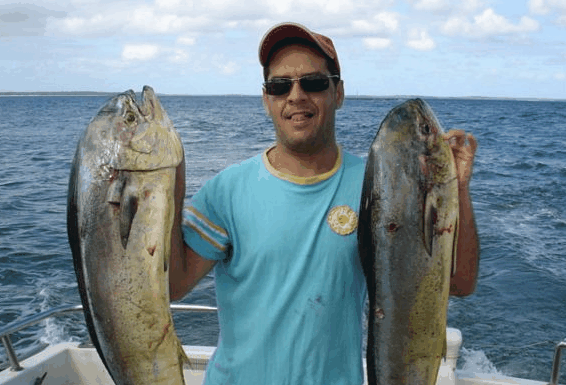 Jervis Bay Fishing And Charters - Local Tourism 0
