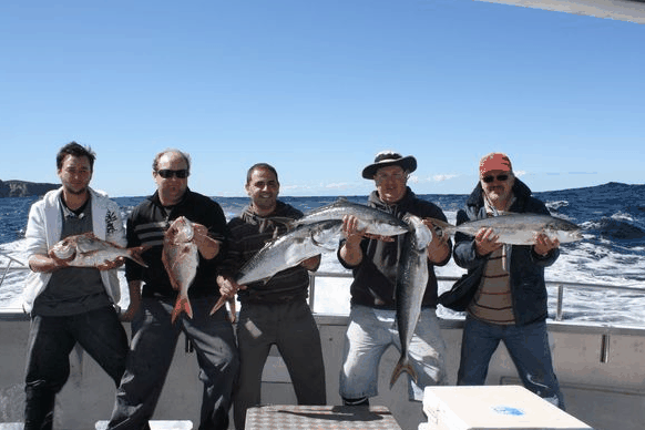 Jervis Bay Fishing And Charters - thumb 2