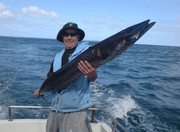 Jervis Bay Fishing And Charters - Local Tourism 4