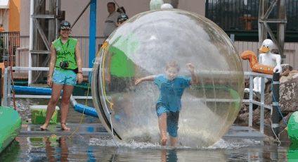 Aussie Waterballs - Accommodation Australia 4