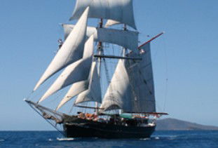 Australian Tallship Cruises - Accommodation Australia 0