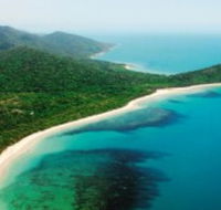 Jungle Tours and Trekking - Accommodation Australia