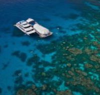 Great Adventures Reef and Green Island Cruises - Accommodation Australia