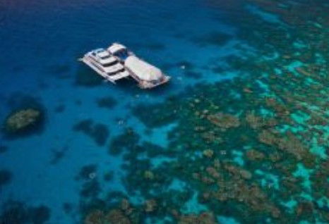 Great Adventures Reef And Green Island Cruises - Local Tourism 0