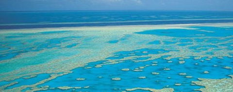 Aristocat Snorkel And Scuba Port Douglas - Accommodation Australia 3