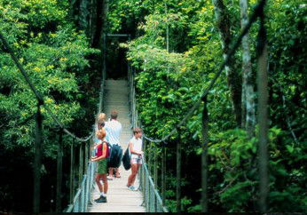 BTS Tours Pty Ltd - Accommodation Australia 4