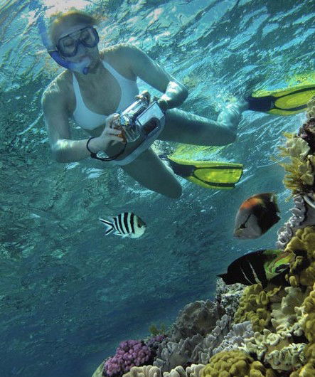 Calypso Reef Charters - Australia Shopping 0