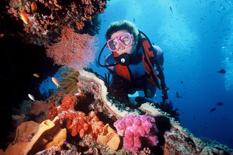 Calypso Reef Charters - Australia Shopping 2