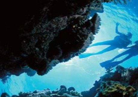 Cairns QLD Local Tourism