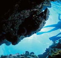 Deep Sea Divers Den - Local Tourism
