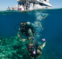 Down Under Cruise and Dive - Accommodation Australia