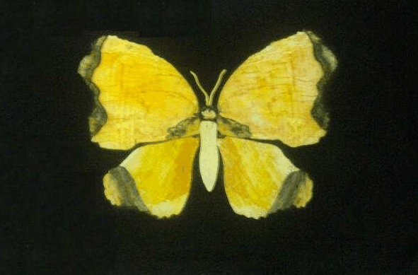 Book Home Hill QLD Attractions Local Tourism Local Tourism