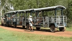 Whitsunday Crocodile Safari - Accommodation Australia 2