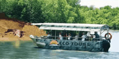 Whitsunday Crocodile Safari - Accommodation Australia 3