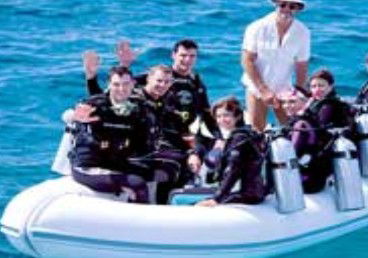 Poseidon Outer Reef Cruises - Accommodation Australia 3