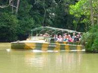 Rainforestation Nature Park - Accommodation Australia 4