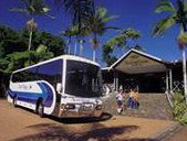 Rainforestation Nature Park - Accommodation Australia 5