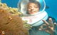 Seawalker At Green Island - thumb 0