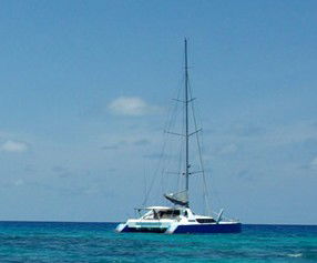Synergy Reef Sailing - Accommodation Australia 5