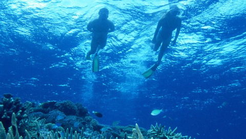Air Whitsunday Day Tours - Accommodation Australia 1
