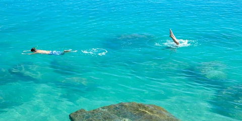 Salty Dog Sea Kayaking - Accommodation Australia 1