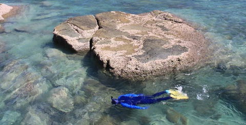 Salty Dog Sea Kayaking - Accommodation Australia 6