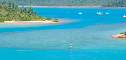 Salty Dog Sea Kayaking - Accommodation Australia 10