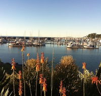 Mantaray Charters - Accommodation Australia