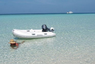 Adrenalin Snorkel And Dive - Local Tourism 4