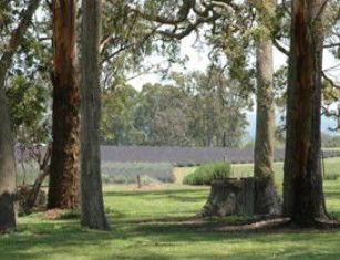 Broadwater QLD Accommodation Australia